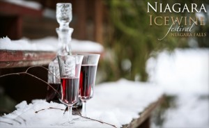 Icewine (снежно вино): гордостта на канадските винопроизводители